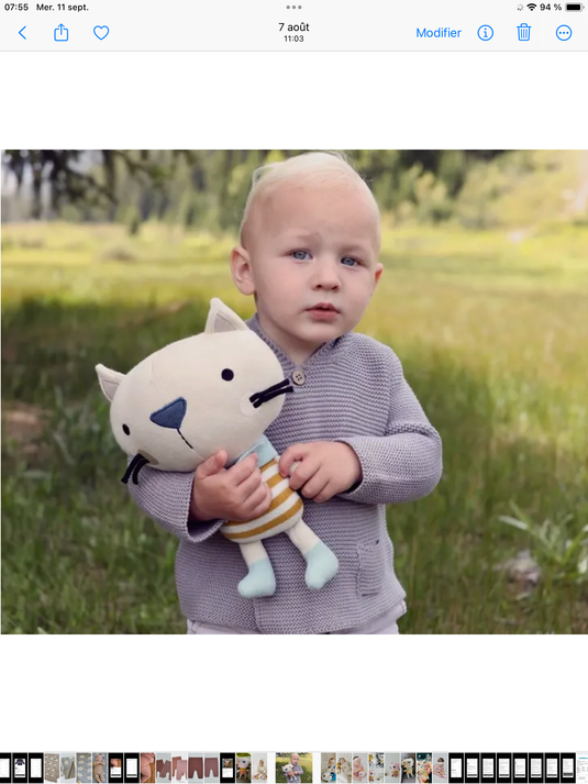 Peluche faite mains Rémi le chat