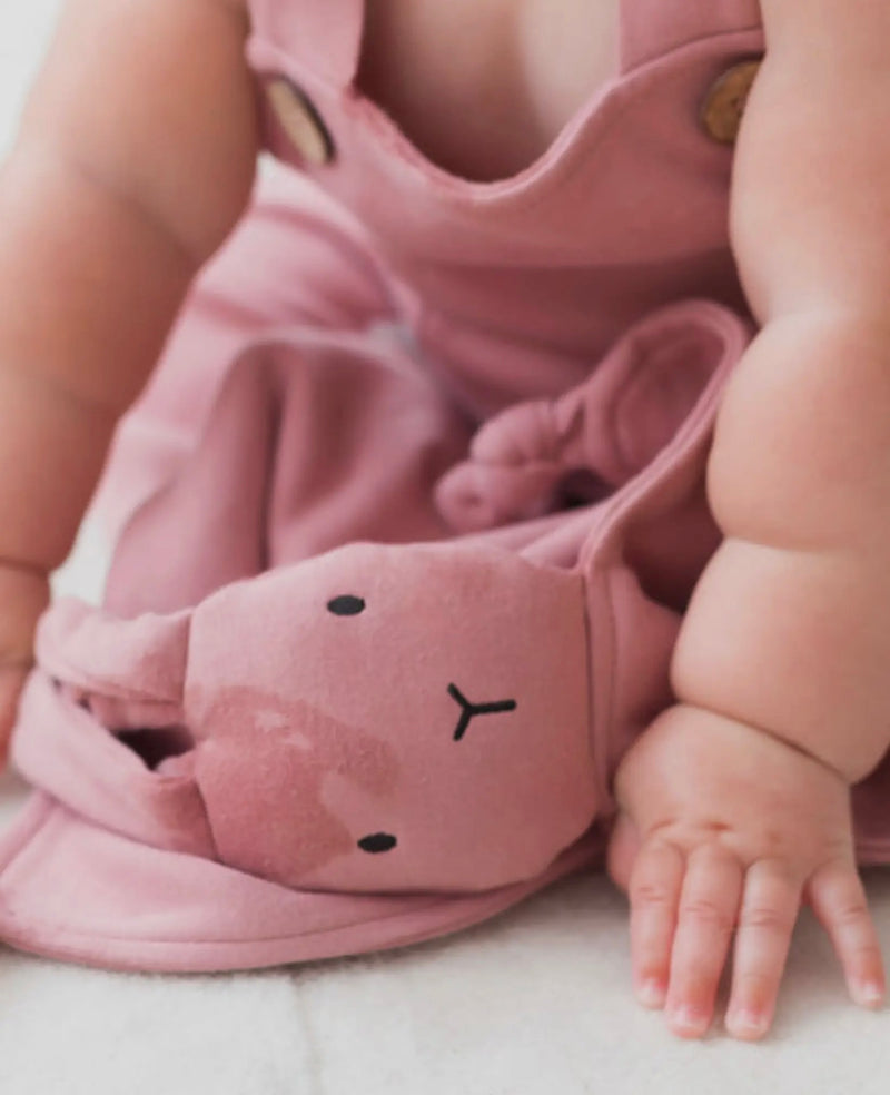 Chargez l&#39;image dans la visionneuse de la galerie, Doudou Lapin brossé Lovey-Berry coton bio - Boutique Kaki Lilas

